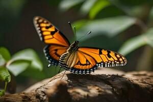 un' farfalla è seduta su un' albero ramo. ai-generato foto