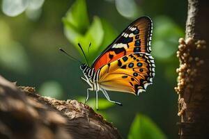 un' farfalla è seduta su un' ramo nel il foresta. ai-generato foto