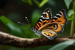 un' farfalla con arancia e nero Ali è seduta su un' ramo. ai-generato foto