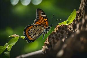 un' farfalla è seduta su un' albero ramo. ai-generato foto