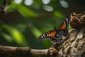 un' farfalla si siede su un' albero ramo. ai-generato foto