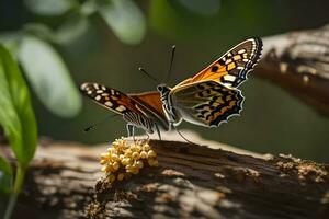 un' farfalla è seduta su un' ramo con fiori. ai-generato foto