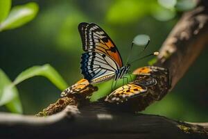 un' farfalla è seduta su un' ramo con le foglie nel il sfondo. ai-generato foto