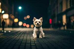 un' piccolo bianca cane è seduta su il strada a notte. ai-generato foto