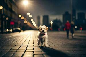 un' piccolo cane è in piedi su un' mattone strada a notte. ai-generato foto