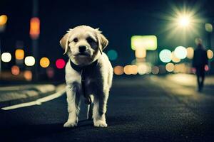 un' cane in piedi su il strada a notte. ai-generato foto