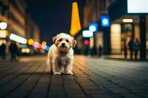 un' piccolo bianca cane in piedi su un' strada a notte. ai-generato foto