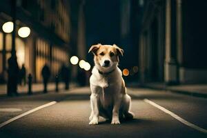 un' cane seduta su il strada a notte. ai-generato foto