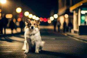 un' cane seduta su il strada a notte. ai-generato foto