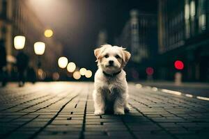 un' piccolo cane seduta su il strada a notte. ai-generato foto