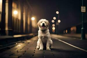 un' cane seduta su un' strada a notte. ai-generato foto