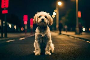 un' cane seduta su il strada a notte. ai-generato foto