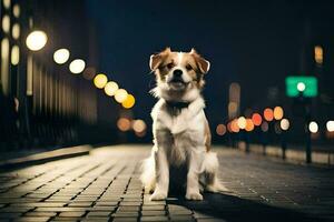 un' cane seduta su il strada a notte. ai-generato foto