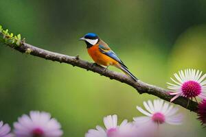 foto sfondo il cielo, fiori, uccello, natura, molla, fiori, uccello, natura,. ai-generato