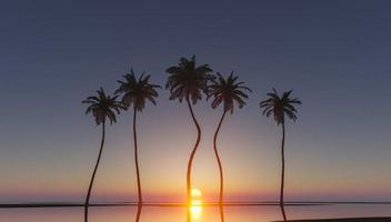 palme nel tramonto tropicale foto