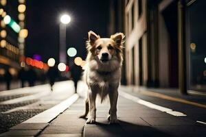 un' cane in piedi su il strada a notte. ai-generato foto