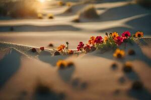 fiori nel il deserto a tramonto. ai-generato foto