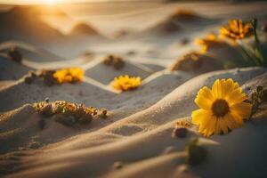 foto sfondo sabbia, il sole, fiori, il deserto, fiori, il deserto, fiori,. ai-generato