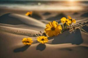 giallo fiori su il spiaggia a tramonto. ai-generato foto