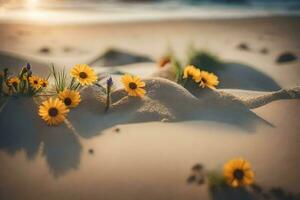 foto sfondo il sabbia, fiori, il spiaggia, il sole, il mare, il mare,. ai-generato