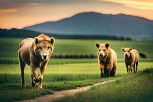 tre leoni a piedi nel il erba. ai-generato foto