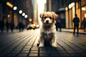 un' cucciolo seduta su il strada nel il città. ai-generato foto