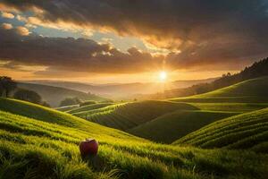 il sole sorge al di sopra di il verde colline di il riso campi. ai-generato foto