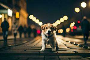 un' cane è in piedi su un' strada a notte. ai-generato foto