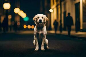 un' cane seduta su il strada a notte. ai-generato foto