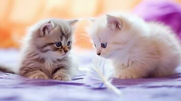 Due Scozzese piegare gattini giocando con un' piuma giocattolo, loro piegato orecchie perked nel curiosità. generativo ai foto
