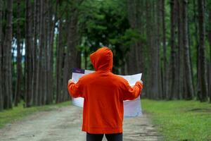 viaggiatore è guardare a il carta geografica per direzione mentre esplorando natura nel il pino foresta per ispezionando e scoprire il raro biologico diversità e ecologo su il campo studia e all'aperto foto