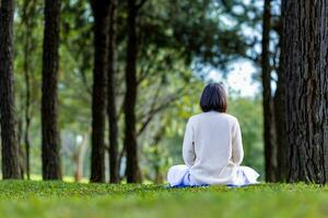 donna rilassante praticante meditazione nel il pino foresta per raggiungere felicità a partire dal interno pace saggezza con mattina leggero per salutare mente e anima concetto foto