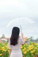 indietro di un' bellissimo turista ammirazione il fiore giardino nel chiang Mai benedetto perché il fiore giardino sembra Bellissima. donna è benedetto un' camminare nel il bellissimo fiore giardino e il luminosa natura. foto