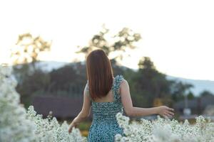 indietro di un' bellissimo turista ammirazione il fiore giardino nel chiang Mai benedetto perché il fiore giardino sembra Bellissima. donna è benedetto un' camminare nel il bellissimo fiore giardino e il luminosa natura. foto