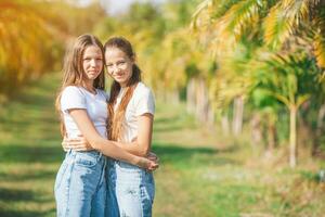 Due ragazze nel jeans nel un' campo con palma alberi foto