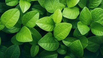 verde le foglie modello, luminosa estate sfondo. generativo ai foto