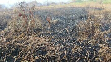 foto di terra fuoco cicatrici