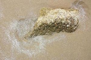 sfondo texture sabbia sulla spiaggia foto
