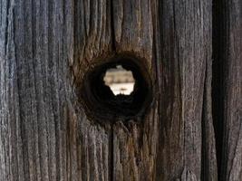 bellissimo tronco d'albero secco naturale con foro. fondo in legno. foto