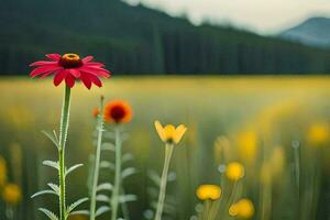 un' rosso fiore sta su nel il mezzo di un' campo. ai-generato foto