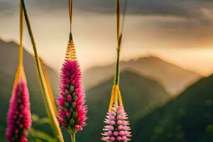 rosa fiori nel il montagne a tramonto. ai-generato foto