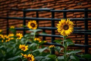 girasoli nel davanti di un' mattone parete. ai-generato foto