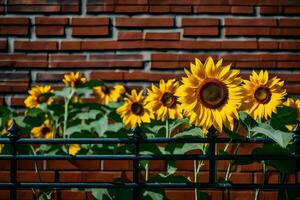 girasoli nel davanti di un' mattone parete. ai-generato foto