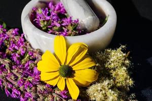 Loosestrife - lythrum salicaria foto