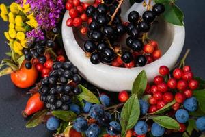 medicina alternativa con erbe farmaceutiche frutti e bacche