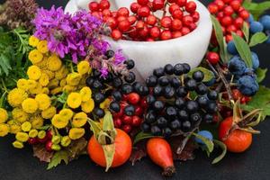 medicina alternativa con erbe farmaceutiche frutti e bacche