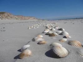 sulla spiaggia di blavand ho danimarca foto