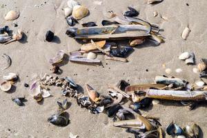 sulla spiaggia di blavand ho danimarca foto