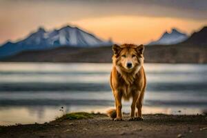 un' cane in piedi su il riva di un' lago con montagne nel il sfondo. ai-generato foto