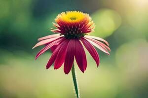 un' singolo rosso fiore con un' verde sfondo. ai-generato foto